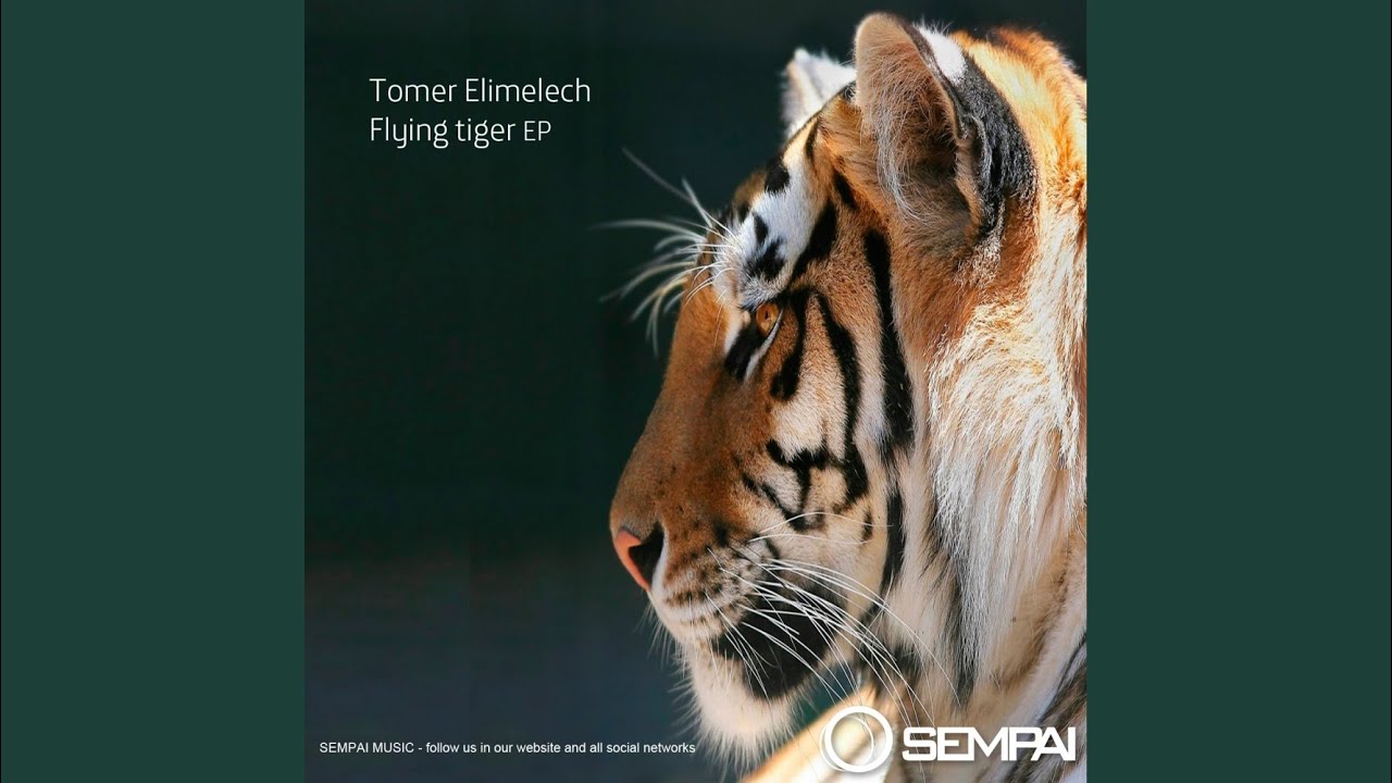 Flying Tiger (Original Mix)