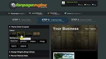 Fan Page Engine 4.0 Demo of Theme options