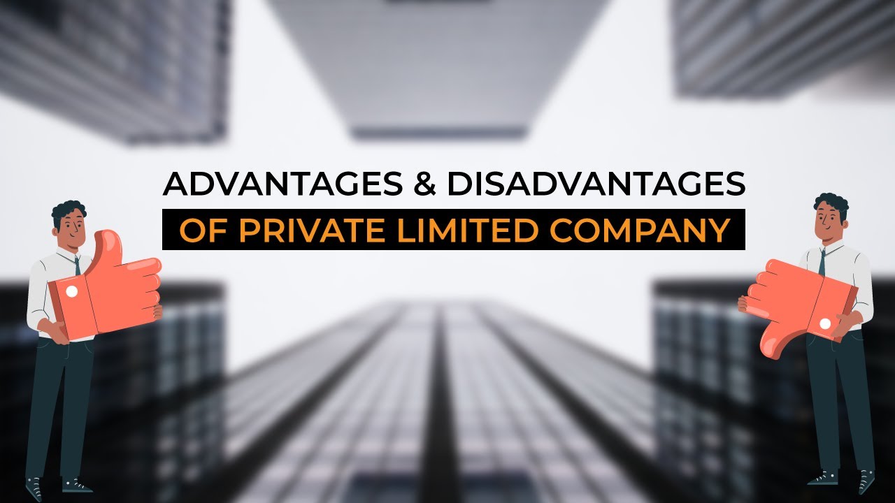 advantages and disadvantages of being a public limited company