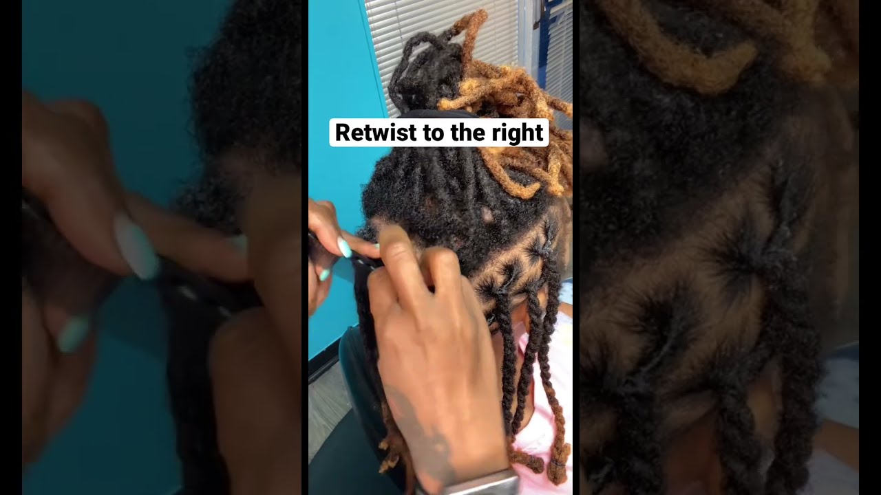 How To 2 Strand Twists Locjourney Locs Dreadlocks Locstyles