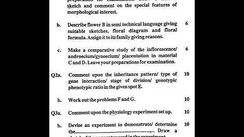 BSc 2 Year Sem 3 Botany Practical Question Paper, University of Lucknow