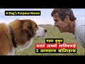 A Dog's Purpose movie Expalined in Nepali| Cinepal |एउटा कुकुरले आफ्नो मालिकलाई 5 जन्मसम्म खोजिरहन्छ