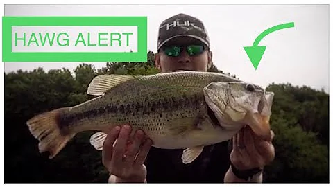 How to Bass Fish in Muddy Water! G-G-GIANT BASS