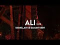 Bismillah Ke Daman Mein Ali | Qawwali Status | Mera Zikr Ya Ali Maula