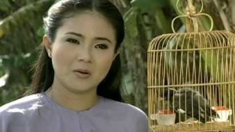 Điệu buồn Phương Nam (Thanh Ngân)