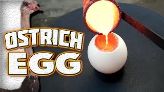 Molten Copper vs Ostrich Egg