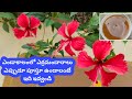   how to make fertilizer from instant coffee powderfertilizer for plants