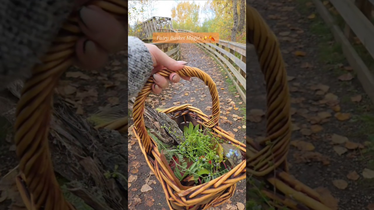 Autumn Fairy Magic | Collecting Nature’s Tiny Treasures