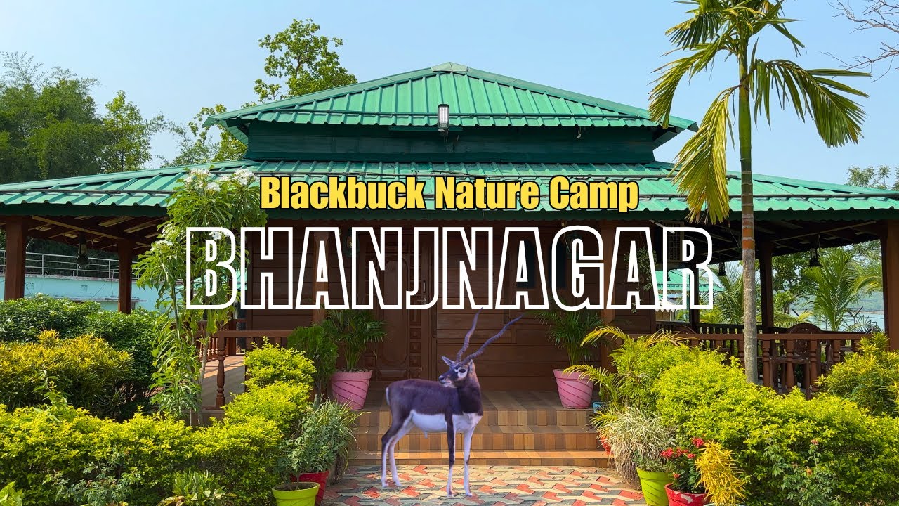 Experience the BEST of Blackbuck Sanctuary at Bhanjanagar Dam Nature Camp! Unparalleled India