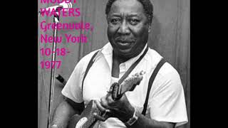 Muddy Waters-Live in Greenvale, New York-Oct.18th,1977