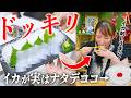 イカの刺身と言ってナタデココを出したら妻は気づくのか？？？