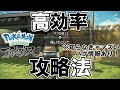 サブ任務17 咲いてとじて 攻略 ポケモンレジェンズアルセウス サブ任務17 咲いてとじて 攻略 ポケモンレジェンズアルセウス