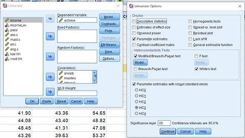 Multiple regression with Robust Standard Errors in SPSS (February 2021)