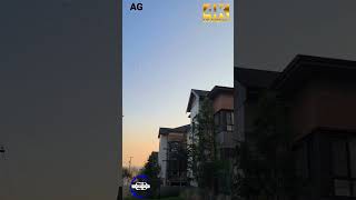 Migración De Aves 2022 Canada Dream British Columbia Agedition