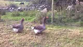 WP 20140911 002