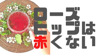 ハーブティーブレンド【ローズヒップ編】本当は赤くも強い酸味もない。そんなローズヒップのオススメブレンド！