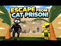 I ESCAPED THE CRAZIEST CAT PRISON!