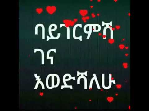 ቪዲዮ: በቦረር ዝንብ ወረርሽኝ በፌሬቶች