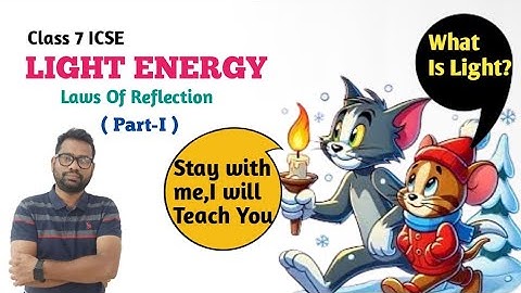 Mirror Magic: Discovering the Laws of Reflection – ICSE Class 7 Physics