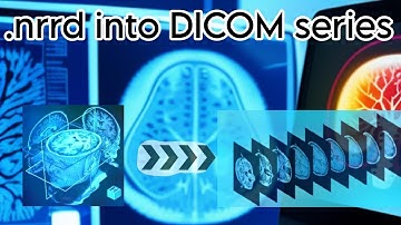convert .nrrd file into series of DICOM images | easy Guide | 3D slicer | image processing