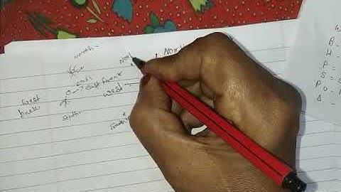 Cbse STD 5 MATHS CLASS 5. MAPPING YOUR WAY