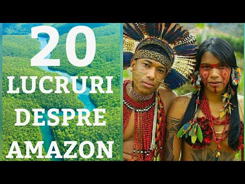 20 de lucruri uimitoare despre Amazon / Padurea amazoniana