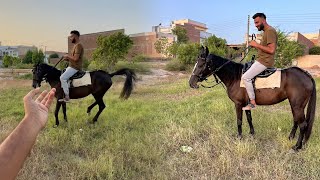Aj Turab Ny Horse Riding Ki But Dr Gea🤣