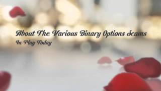 Option bit scam