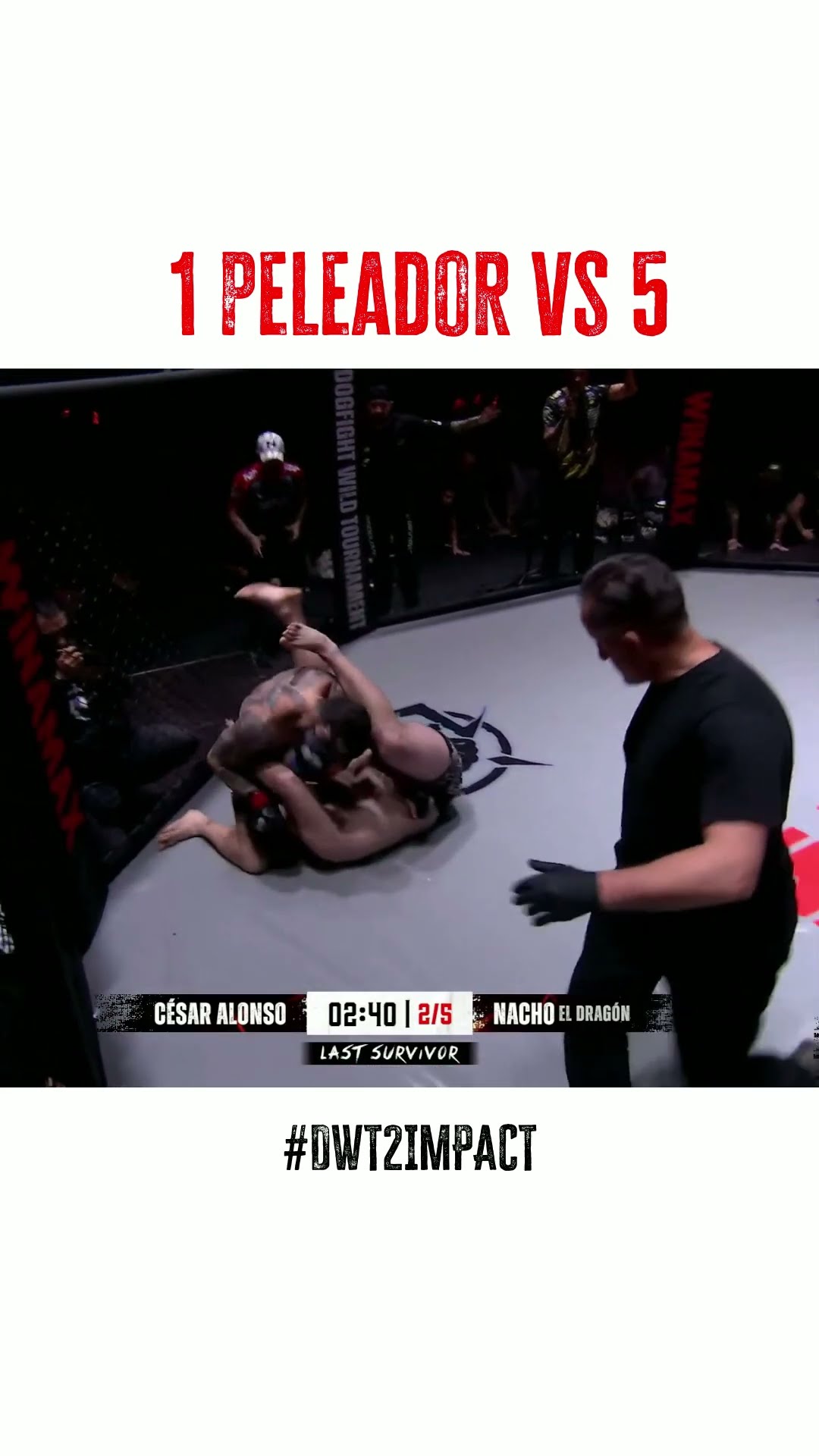 1 PELADOR VS 5 | DWT 2nd Impact