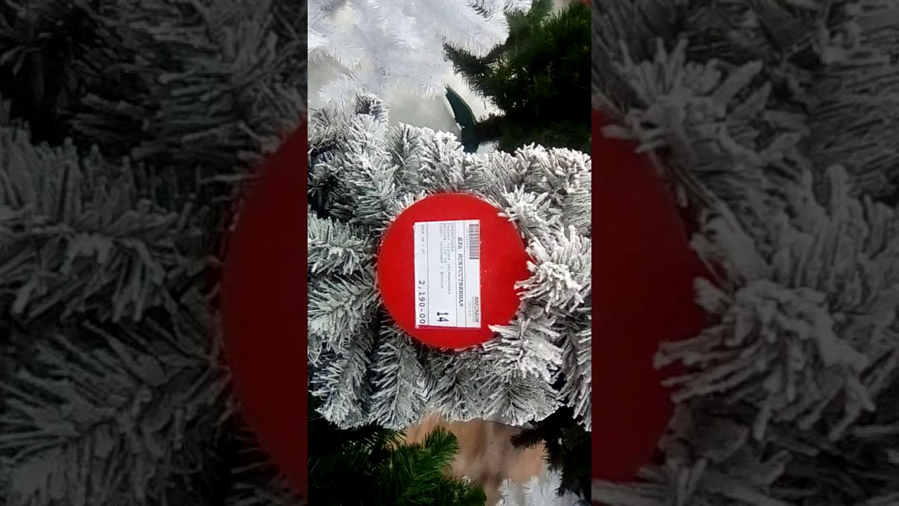 Ёлки Максидом - YouTube