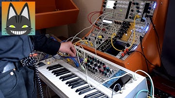 Eurorack Voice Animation - using a joystick