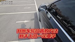Brother Bao's lifelearned car distance judging skill in a lengthy video.