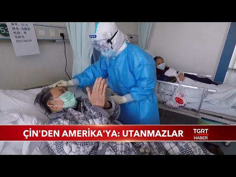 Çin'den Amerika'ya: Utanmazlar