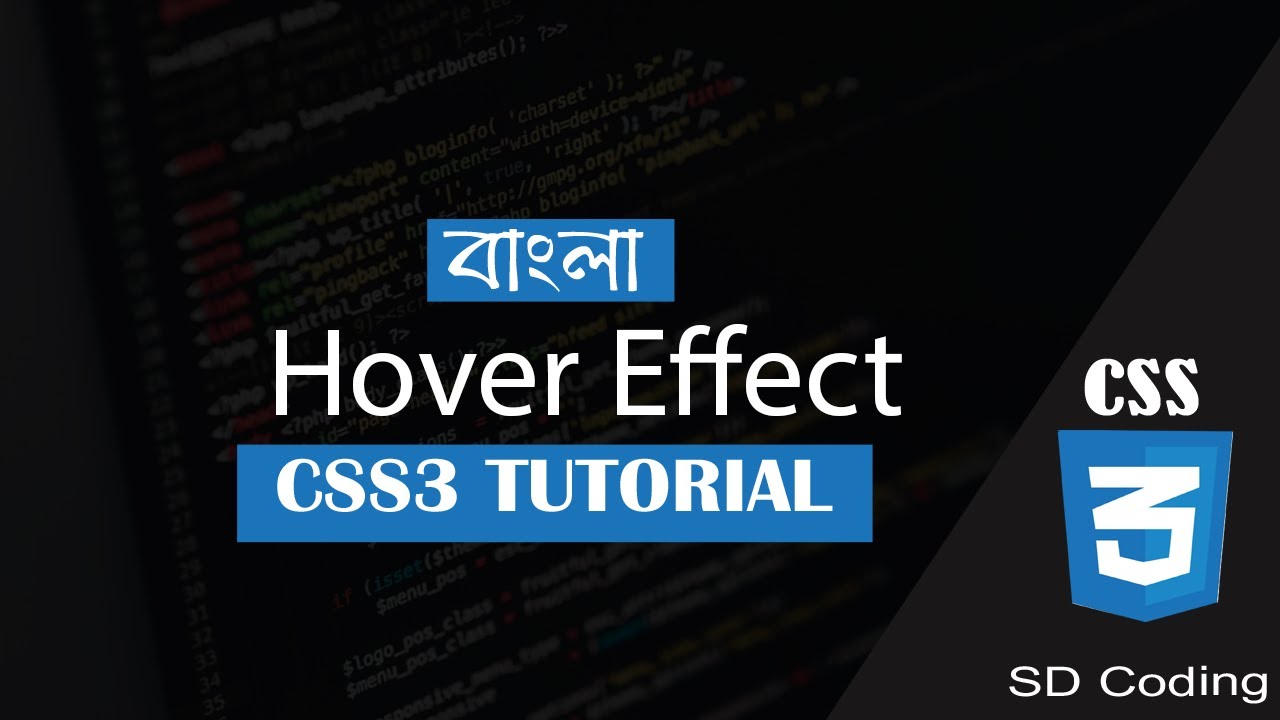 46.CSS3 - Hover Effect (Bangla) - YouTube
