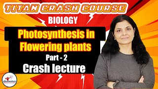 Biology l Photosynthesis in Flowering Plants 2 l Titan Crash Course l NEET