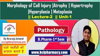 Morphology of Cell Injury | Hypertrophy, Hyperplasia, Metaplasia , Dysplasia |L-2 Unit-1| Pathology