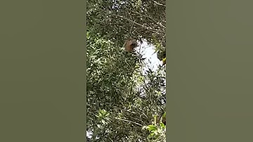 سورة البقرة آية ١٩١