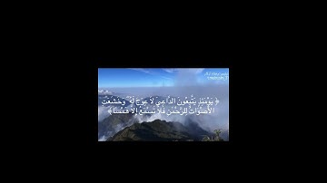سورة طه ( آية 105-108 ) محمد اللحيدان .