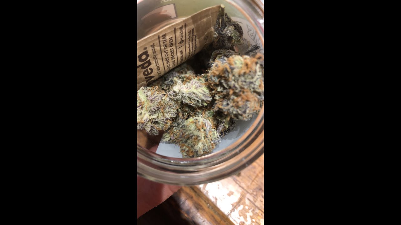 3rd Cannabis Review Phat Pharms Zombie Kush
