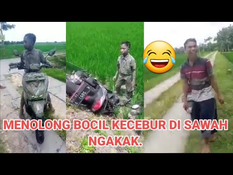 Naik motor !! Bocil kecebur di sawah bikin ketawa.