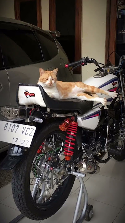 katanya yang pelan dirumah aja! asyiap 🤪 #shorts #rxking #story #terbaru