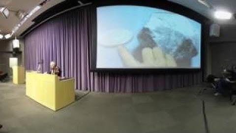 Stanford Lecture: Don Knuths Christmas Tree Lecture 2017 (360 Degrees) - The Best Documentary Ever