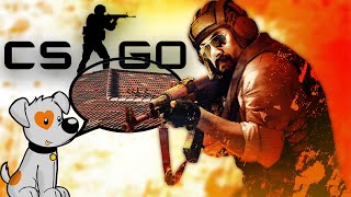 CSGO - James Is a Dog! (Funny Moments!)