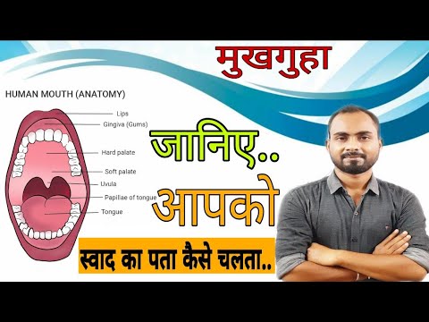 वीडियो: ऑसिफिकेशन शब्द का क्या अर्थ है?