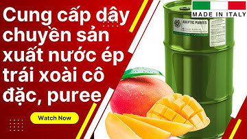 Dây chuyền thiết bị sản xuất nước ép xoài cô đặc - Kim Nguyễn Corporation