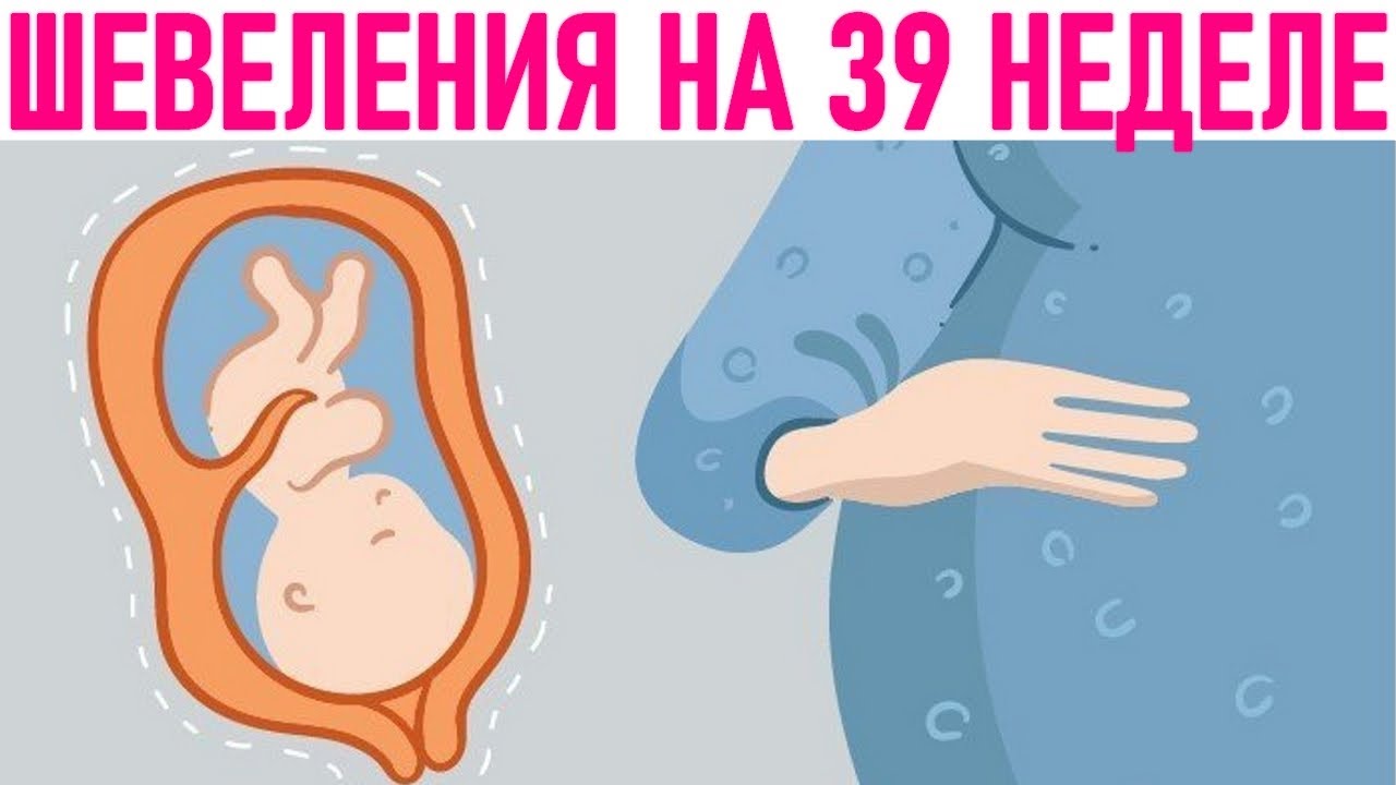 40 недель шевеление. Предвестники родов. Тошнота на 40 неделе беременности.