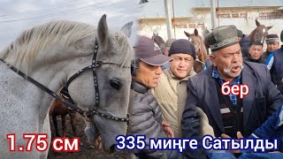 НООКАТ ЖЫЛКЫ БАЗАРДА АДЫЛ ава  СООДАНЫ ЖАРДЫ АТТАРДЫ  ТЕРИП  АЛДЫ