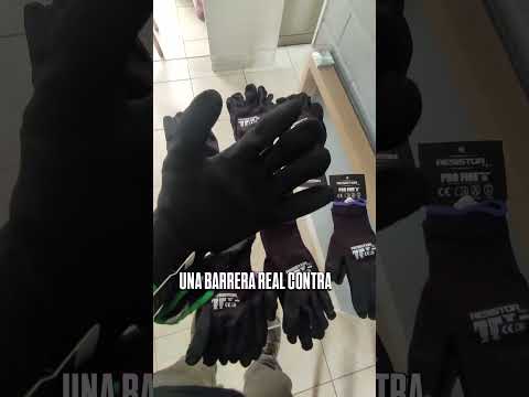 Demo técnica del producto