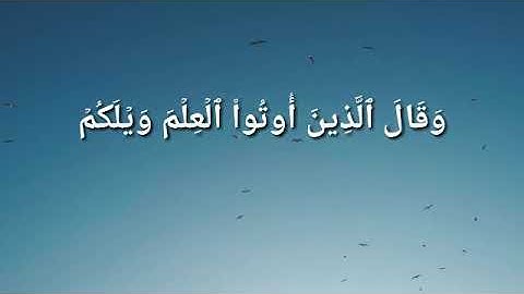 سورة القصص (آية ٨٠ - ٨٢)