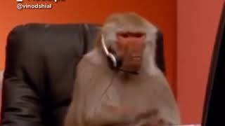 Monkey keyboard